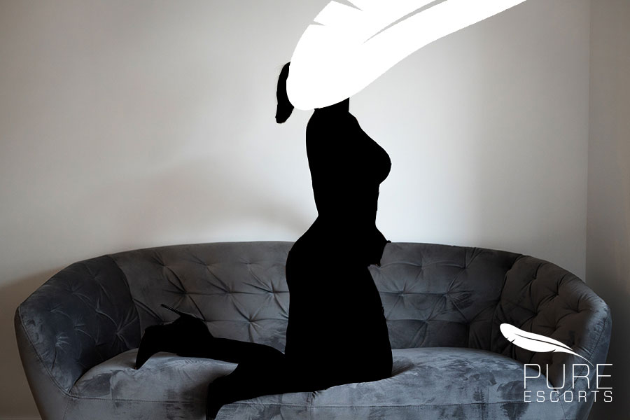 blog_silhouette Hier eine kurze ebschreibung